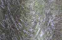 Marston Magna fibreglass roof work